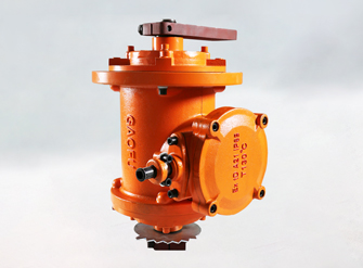 YBZL立式防爆振動(dòng)電機(jī)